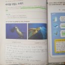 신서초교 이미지