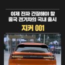 이제 곧 한국에 돌아다닐 중국 전기차 지커 001 -BYD 덴자 Z9GT 원터치 평행주차 -테슬라 뺨치는 개쩌는 평행주차 BYD 이미지