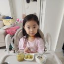 1637 | 25.9.18-20 왜 이렇게 피가 나오니?..ㅠㅠ / 생후 1635-1637일차