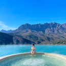 소노펠리체 델피노 이미지