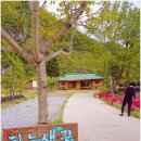이집향어