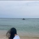 여주(강릉) 이미지