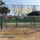 옥빛초등학교 티스토리