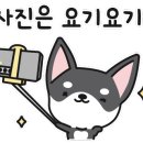 애견수족관 이미지