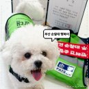 2026 부산시 반려동물순찰대 활동선포식 다녀온 후기 신규대원으로 순찰대옷도 받은날!