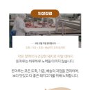 돈마루농장 이미지