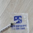 새은평동물의료센터