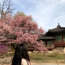 한진숙헤어샵 이미지