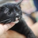 봄봄 나봄 이미지