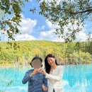 트레블픽 | 비에이 투어 고민 중이라면 꼭 보세요 (인디고 트레블 갸루상 투어 후기)