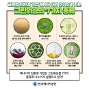 ESG경영과 그린워싱 이미지