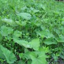 보충한의원 이미지