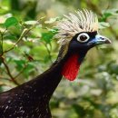 BIG GAME STATION 이미지