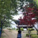 솔마루 작은도서관 이미지