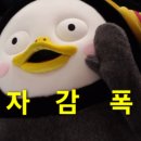 청담이상위례
