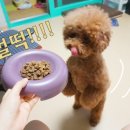 아이디얼푸드 이미지