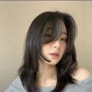 궁서채 노원점
