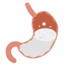 디클리셰 피트니스 이미지