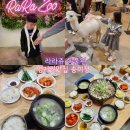 부산 아이와가볼만한곳 실내동물원 [라라쥬] 명지 곰탕 맛집 [송미정] 내돈내산리뷰