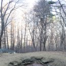 보만정지 이미지