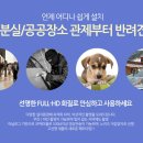 나비랑 바둑이 이미지