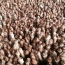 녹수농장 이미지