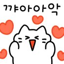 동탄P&P메디칼프라자 이미지