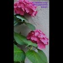 부암1동-15 이미지