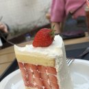 빵댕이넷 이미지