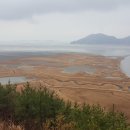 오동도
