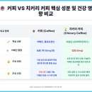 헬스라인 | 치커리 커피 후기: 카페인 없이 커피 대용차 찾는 50대에게 (장단점, 마시는 법)
