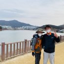 영산강민물장어 이미지