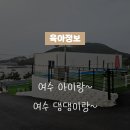 사계에반하다 1 이미지