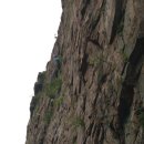 석이농장 이미지