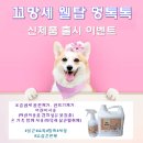 마이펫톡톡 이미지