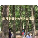 숲속체험마을협동조합 | 영월 귀농귀촌 체험 프로그램 1회차 후기 (2025.6.17~6.19)&#34;2박 3일 살아보니, 진짜 가능성이 보이네요!&#34;