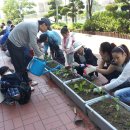 황산초등학교 이미지