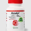 호수동물병원 이미지