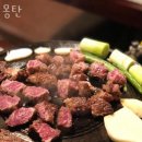 몽탄1