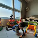 세움보조기 이미지