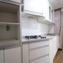 백양대로 이미지