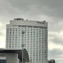 카오스모텔 | 웨스틴 서울 파르나스 | 게스트킹, 25년만에 리뉴얼한 5성급 호텔 솔직한 숙박후기-1탄