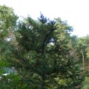 송촌2리 마을회관 이미지