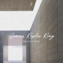 리플렉스 A 이미지