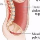 아크짐 이미지