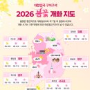 현충원 산책길 | 서울 벚꽃 명소 추천 벚꽃 개화시기 국립 서울 현충원 피크닉🌸(+방문후기)