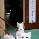 소아경로당 이미지