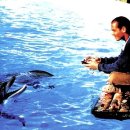 그랑블루 이미지