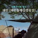 태안둘레길캠핑장 | [충남 태안] 서해 바다뷰 명당, 태안둘레길캠핑장 (SE 클럽) C구역 후기