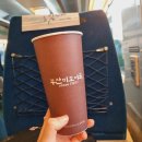 대구여행 추천: 엠비티아이 P 들의 우당탕탕 우정여행기